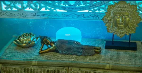 Artemis SPA experience