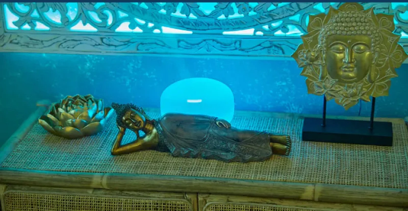 Artemis SPA ambiance