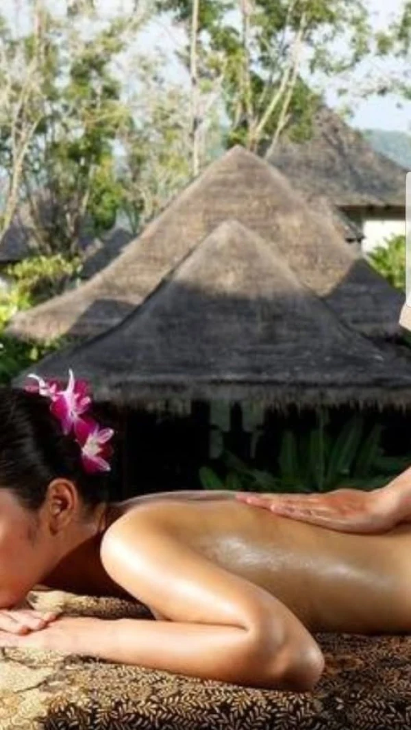 Discover Cleo Exotic Studio
