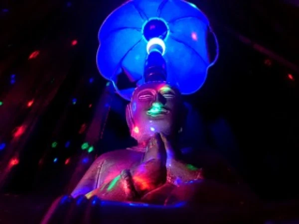 Eden VIP atmosphere