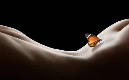 Erotic Massage in Ljubljana - Heart Connection
