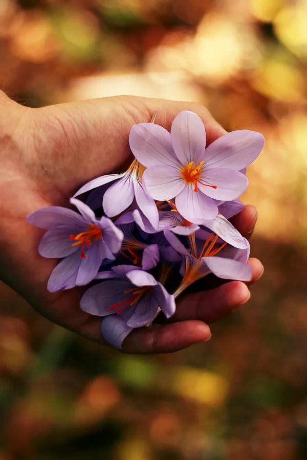 TANTRA MASSAGE EMPOLI atmosphere