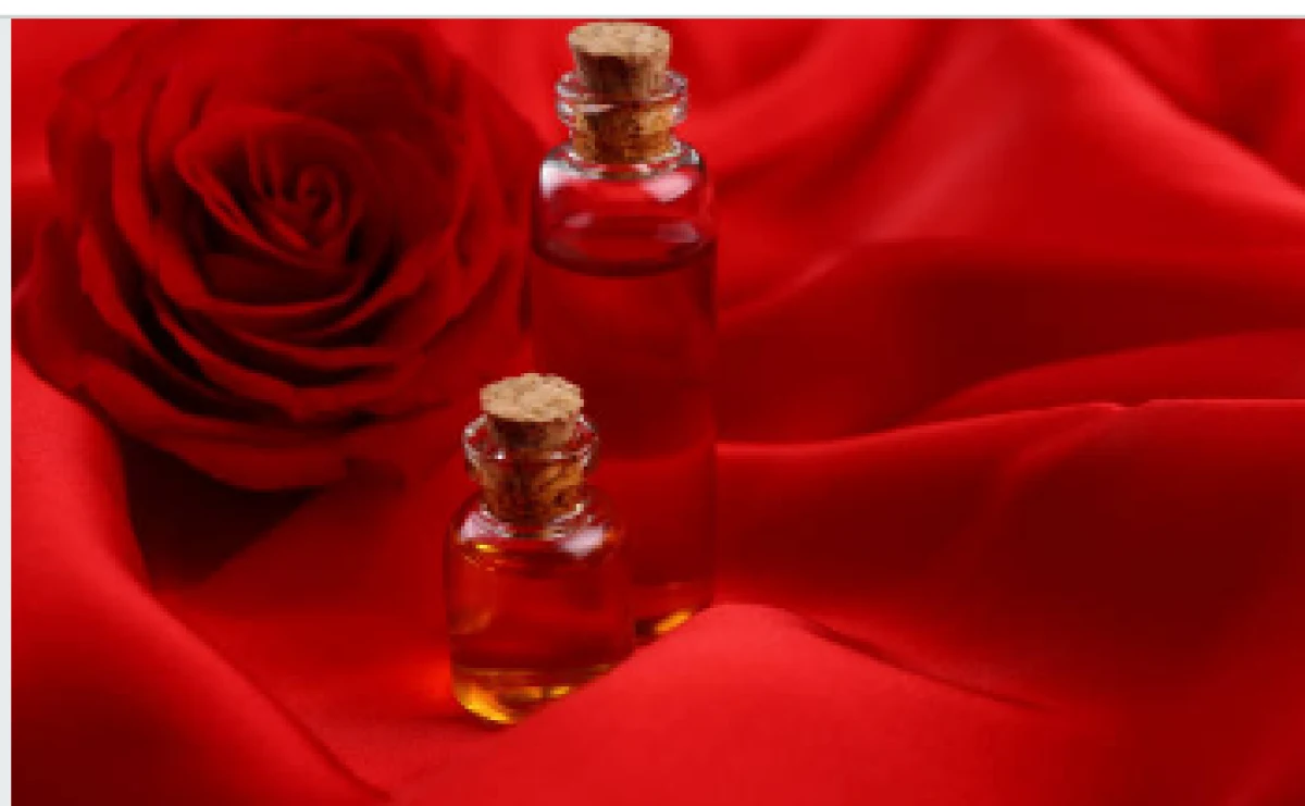 Hamburger Tantra massage - Erotic massage in Hamburg