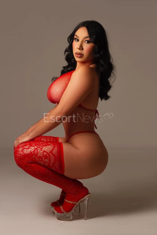 Premium Erotic Massage & Escort Services atmosphere