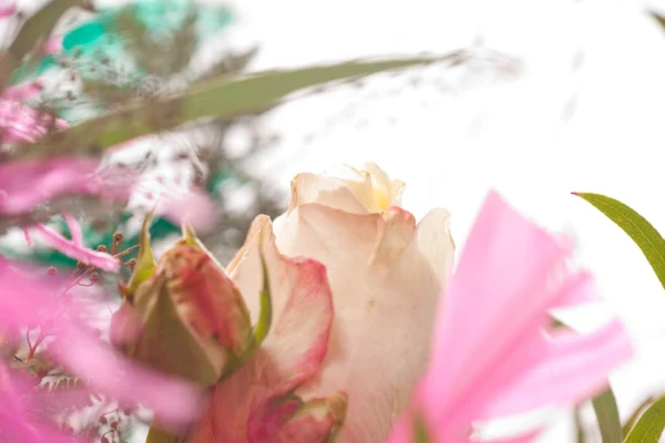 Tantra Massage Estrela experience