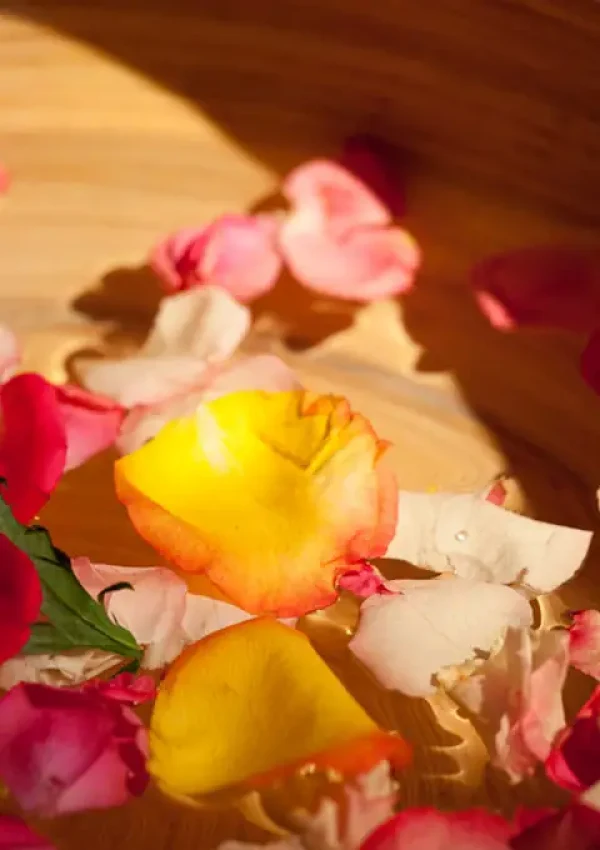 Tantra Massage Estrela interior