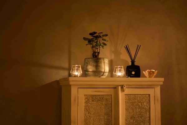 Bonsai Studio atmosphere