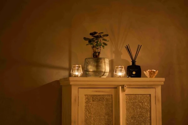 Bonsai Studio atmosphere