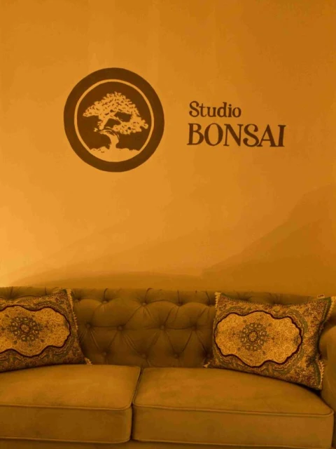 Bonsai Studio, รายชื่อนวดอโรติกในบรโน