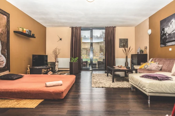 Discover Studio Amarylis