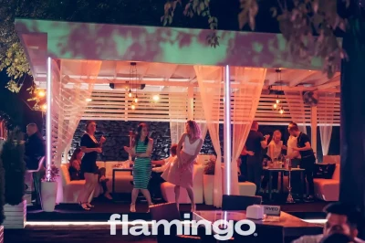 Flamingo Club - Gentlemen's Club in Chisinau, Moldova