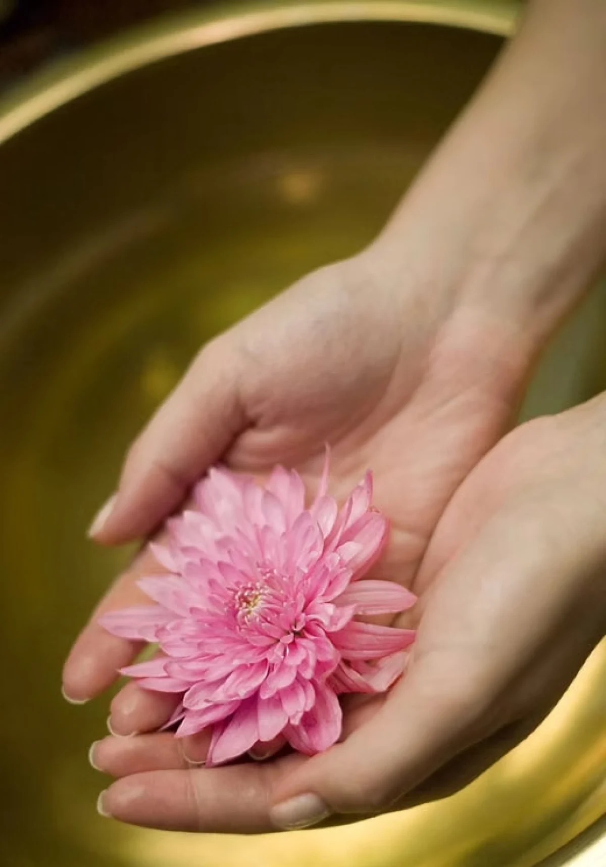 Sensual Tantric Massage - Erotic massage in Derbyshire