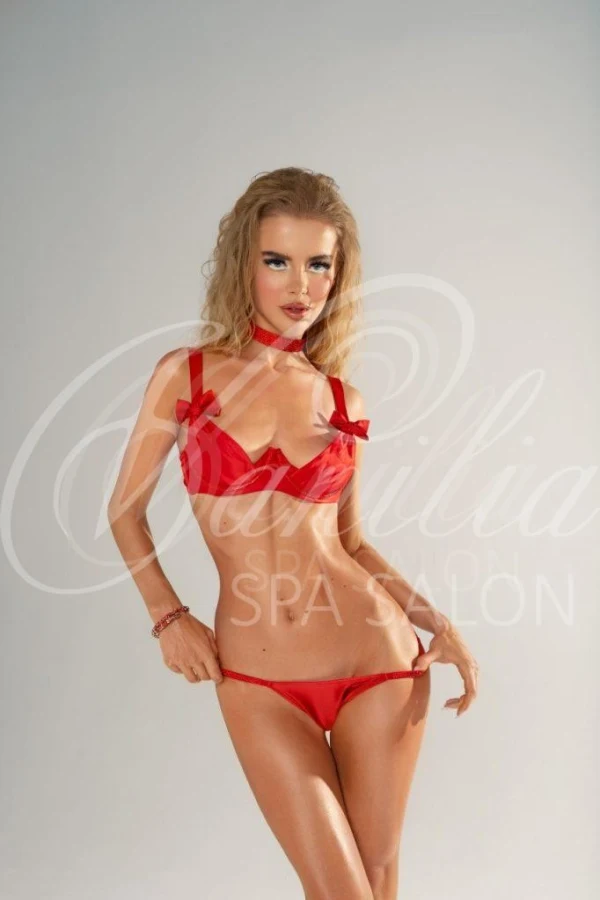 Discover Vanilia