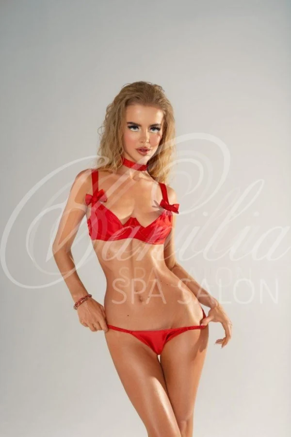Discover Vanilia