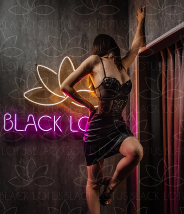 BLACK LOTUS photo gallery