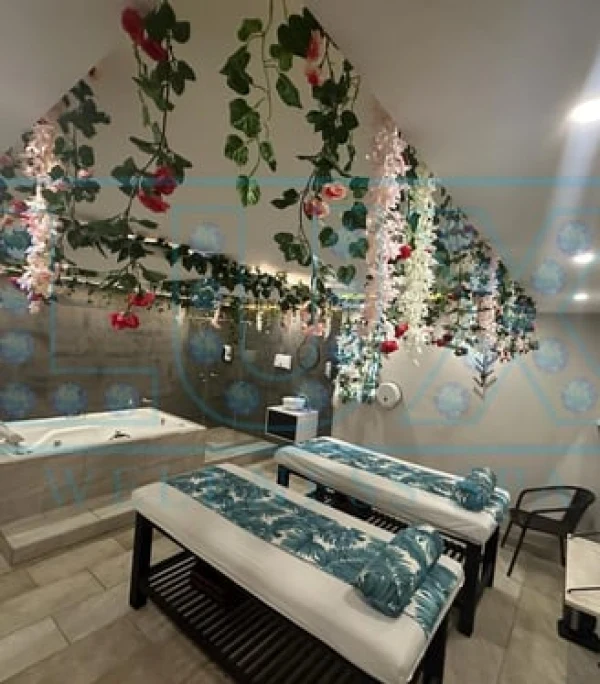 Lux Spax experience