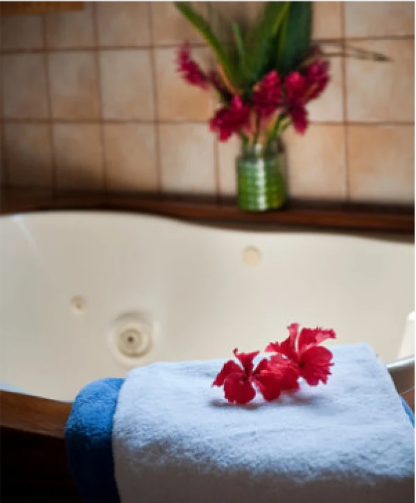 Spa Nest Bandra interior