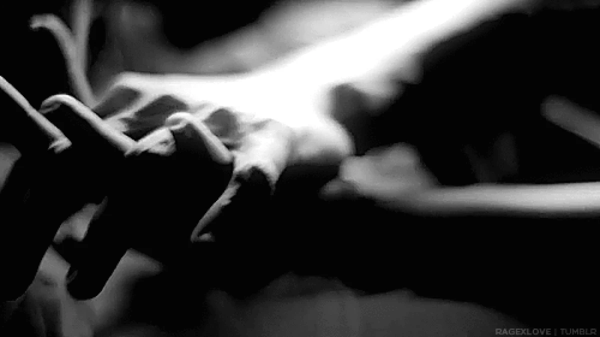TouchForHerNYC - Erotic massage in New York