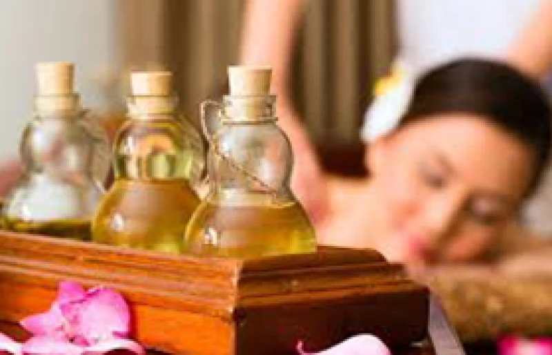 Full Body to Body Massage venue photo