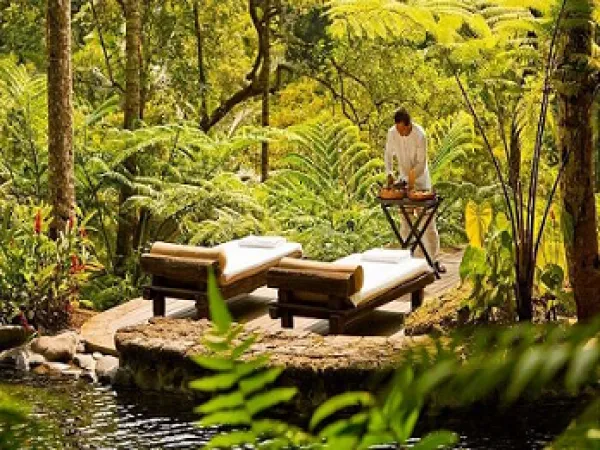 Gallery image - The Lotus Spa