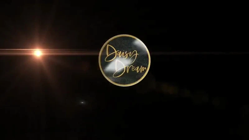 Daisy Dream - Interior view
