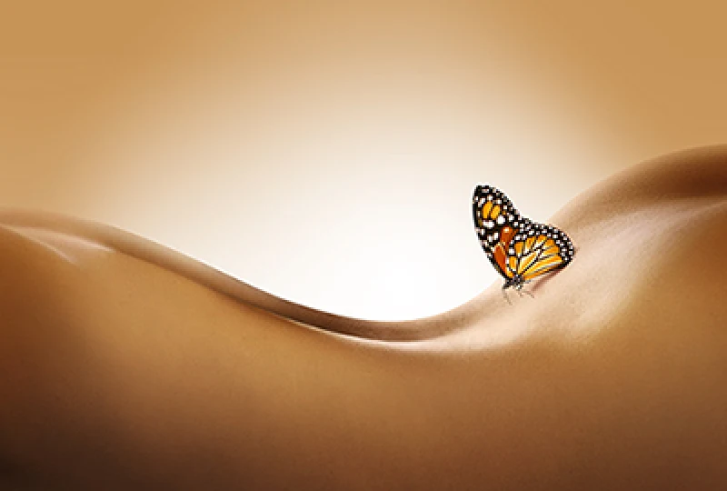 Butterfly Massage - Interior view