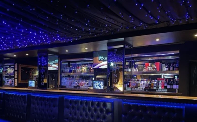 Baby Platinum - Interior view