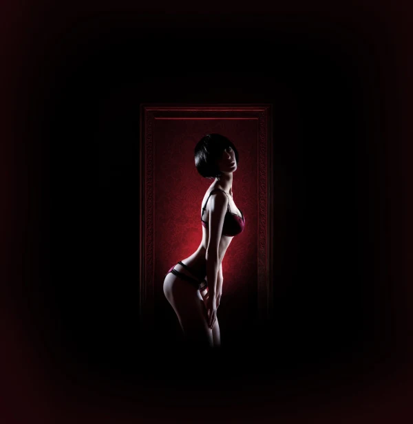Obidis Club Prive - Gentlemens club in Milan