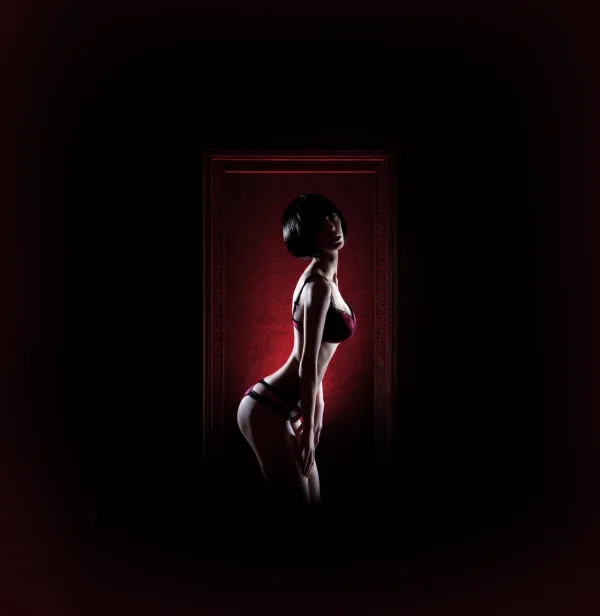 Obidis Club Prive - Gentlemens club in Milan