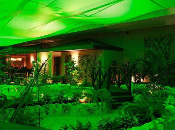 Lafuentepub interior