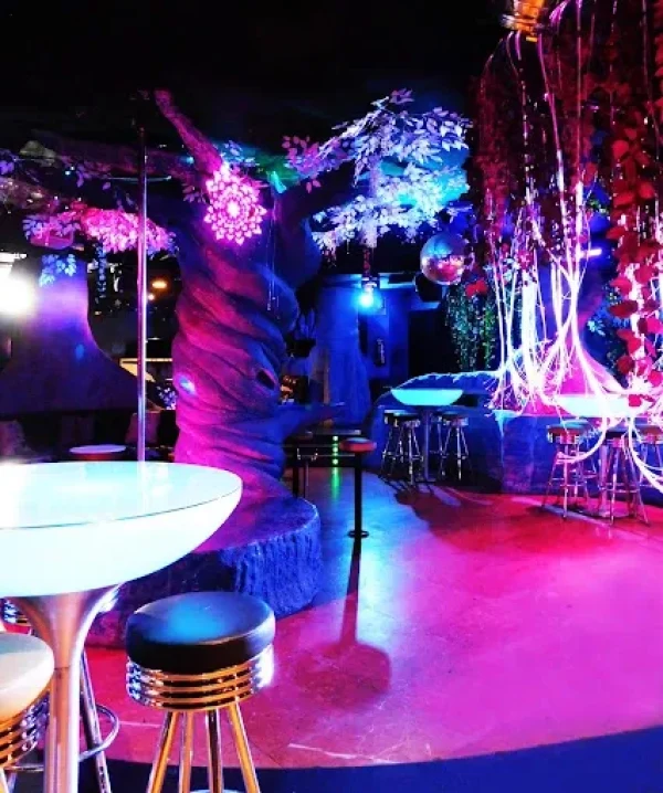 Luxury Strip Barcelona in Barcelona