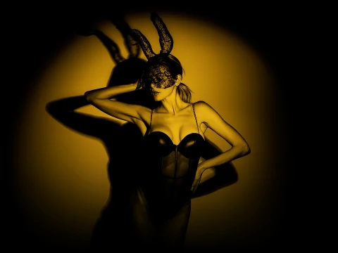 VIP Gentlemens Club, club de sexo en Torun