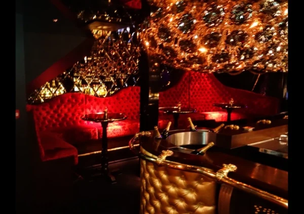 Mayfair in The Hague