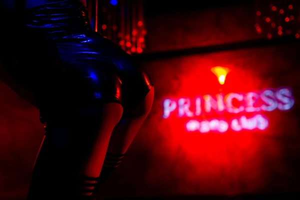 Princess Club - Photo 17