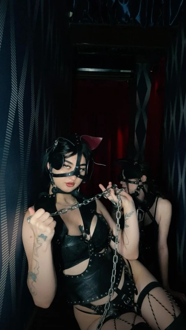 White Rabbit Show Bar photo gallery