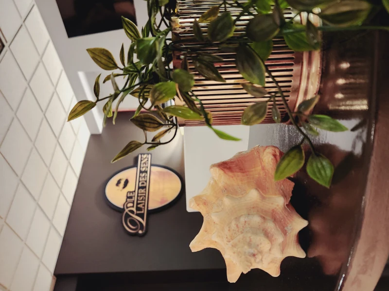 Plaisir Des Sens 2.0 - Interior view