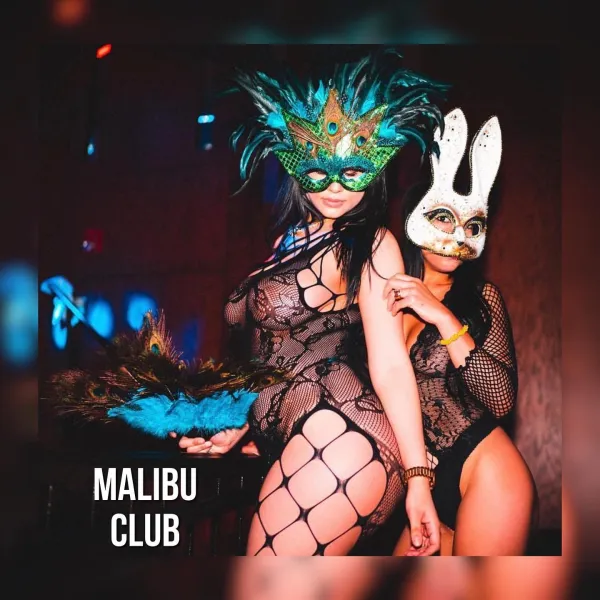 Malibu in Chisinau
