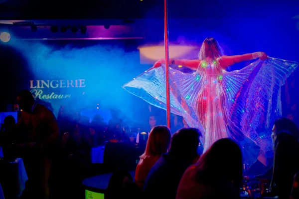 The Lingerie Restaurant in Porto