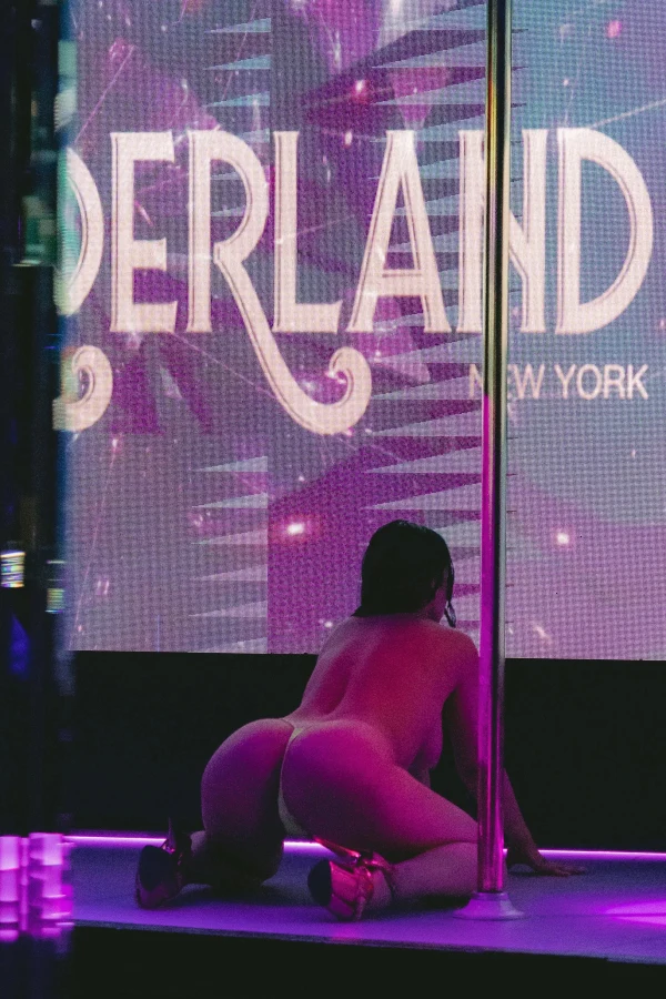 NYC Wonderland atmosphere