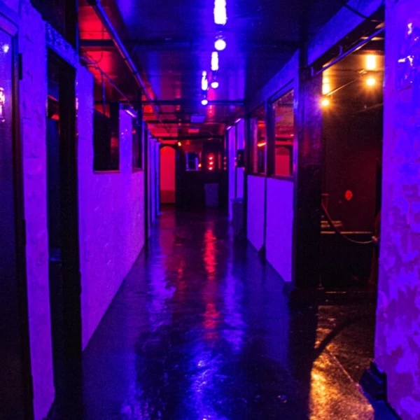 Vixen Club experience
