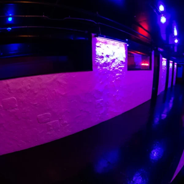 Discover Vixen Club