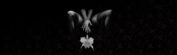 Discover Orchidee Noire