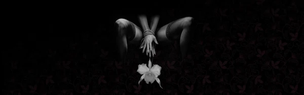 Discover Orchidee Noire