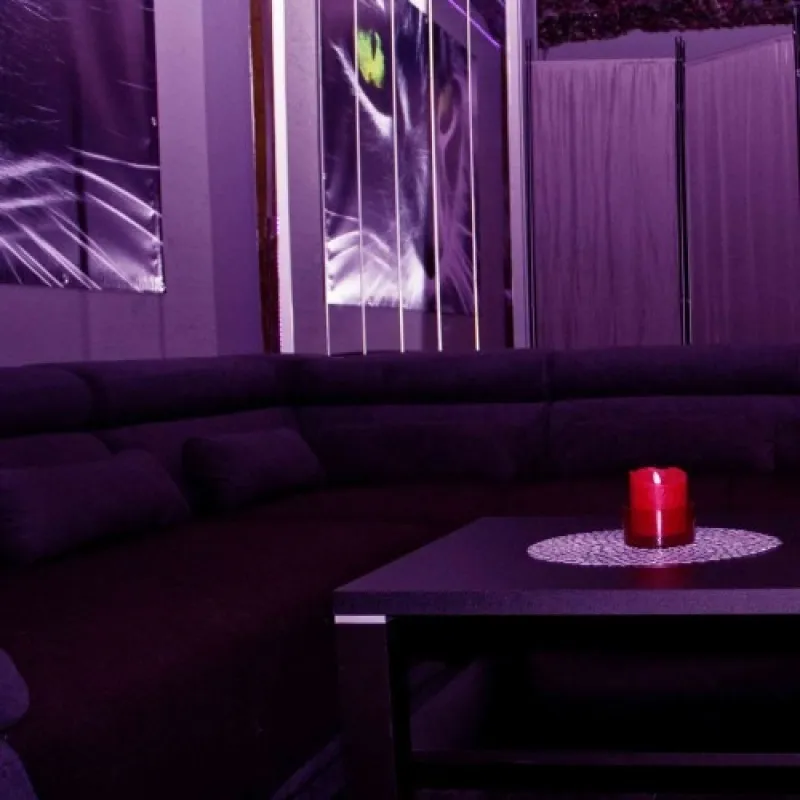 Cats 20 - Interior view