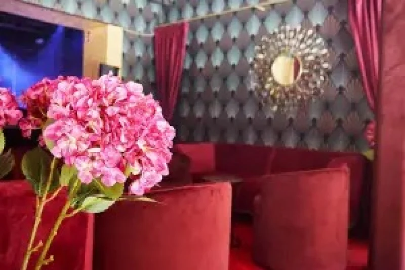 The Oasis ambiance