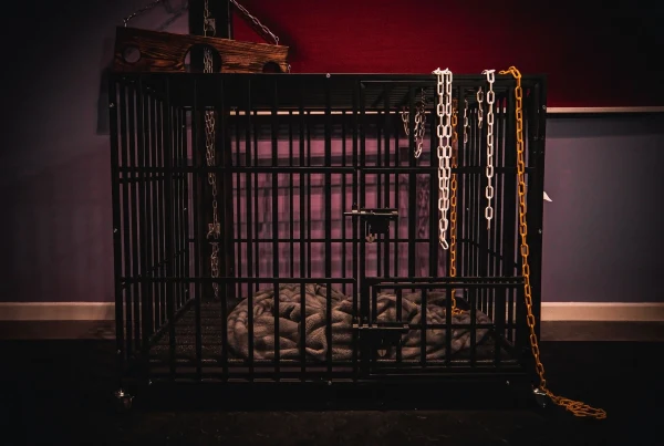 Gallery image - The Scarlet Chamber