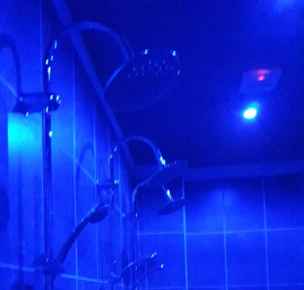 Eden Swingers Club atmosphere