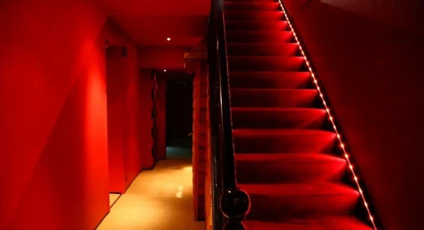 Gallery image - Mi Noi