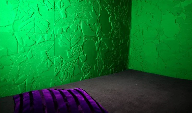 Inside Mi Noi