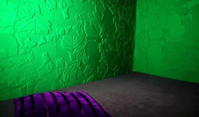 Inside Mi Noi